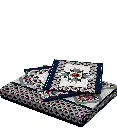b21 (1).webp