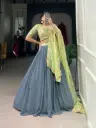 Gray And Pista Glamour Lehenga choli_517