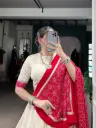  Zigzag And Bandhej Print Lehenga Choli_546