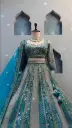 The Mosaic Heritage Panelled Lehenga choli_567