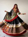  The Kalakriti Lehenga Choli_RASRANGINI_332